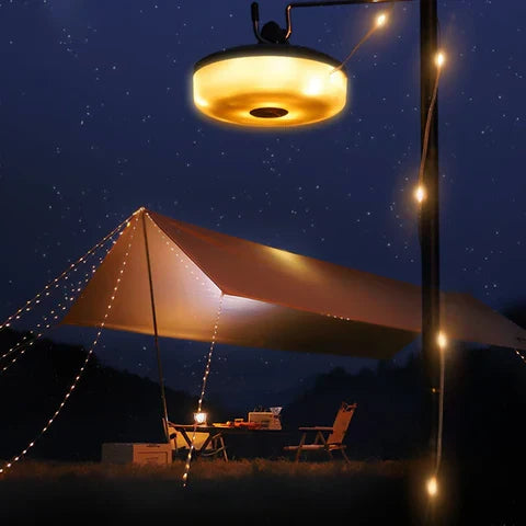 Warm white LED string lights arranged around a garden path and decorative display