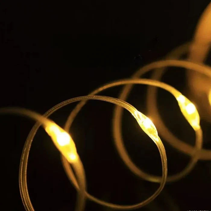 Warm white LED string lights arranged around a garden path and decorative display