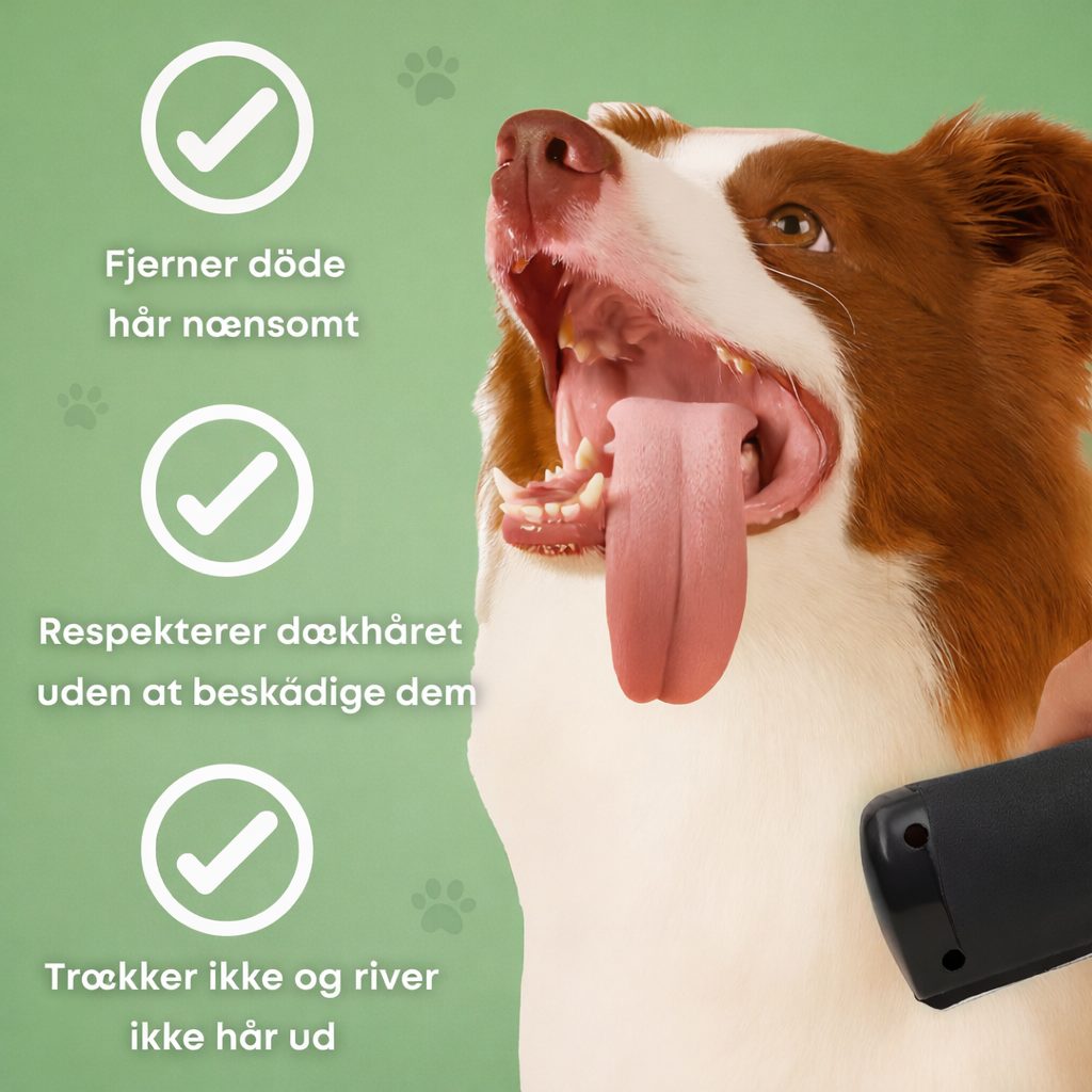 Black handheld dog grooming brush used on a dog's coat