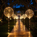 Clear balloon-style party lights with warm white light points