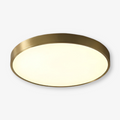 Round LED flush mount ceiling light with white diffuser and outer rim