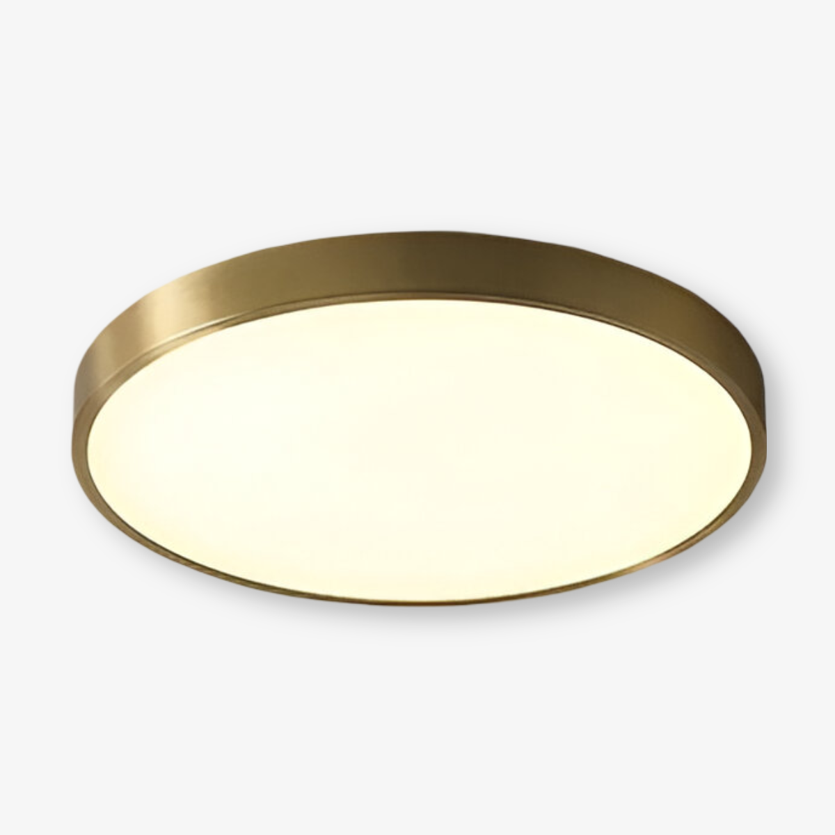 Round LED flush mount ceiling light with white diffuser and outer rim