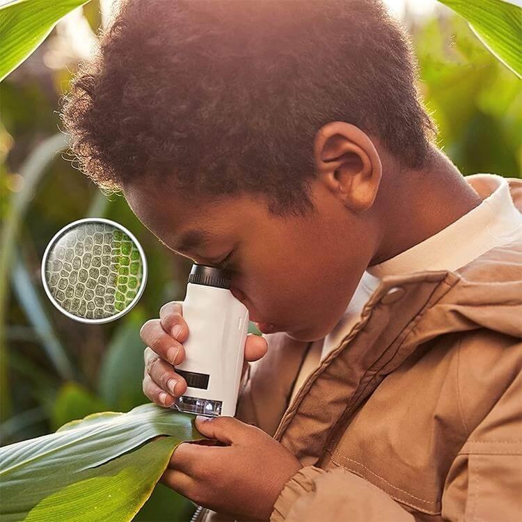White handheld pocket microscope with clear viewing chamber