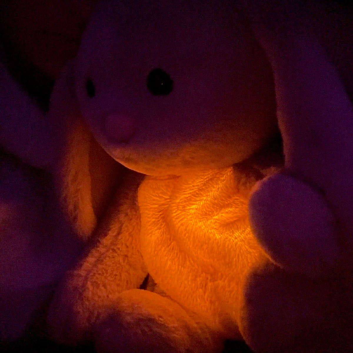 Gray bunny stuffed animal with long ears and glowing yellow belly