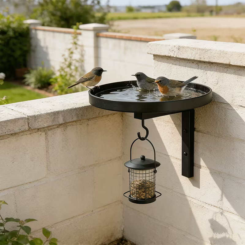 Black wall-mounted bird feeding station with water trays and hanging seed feeder