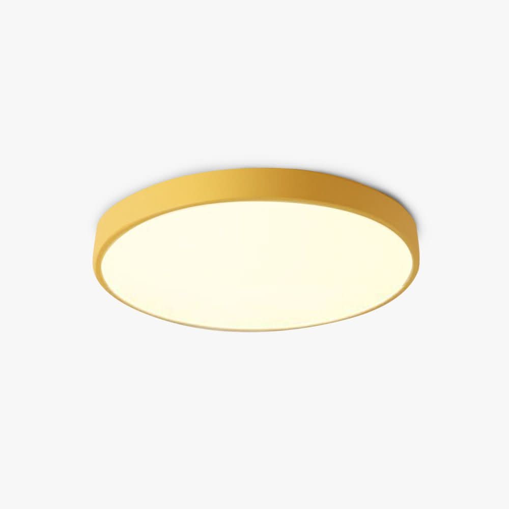 Round flush mount LED ceiling light with a white illuminated panel