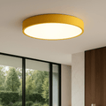 Round flush mount LED ceiling light with a white illuminated panel