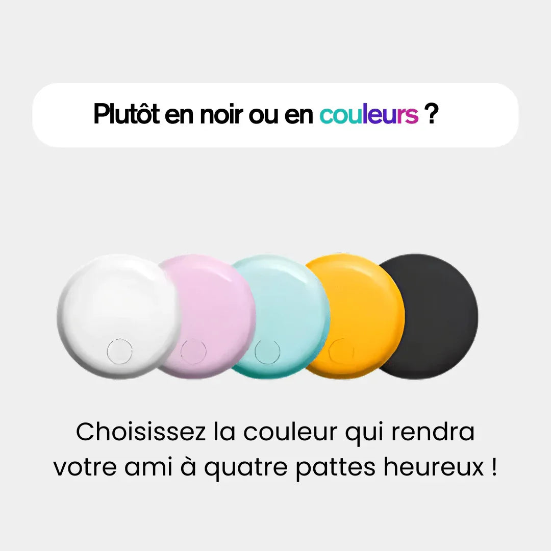Round GPS cat tracker shown in multiple colours
