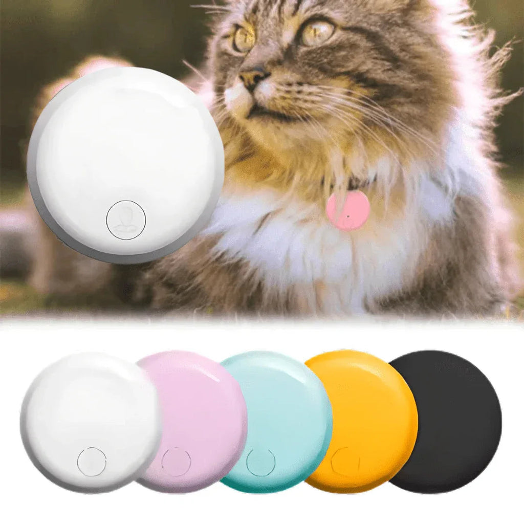 Round GPS cat tracker shown in multiple colours