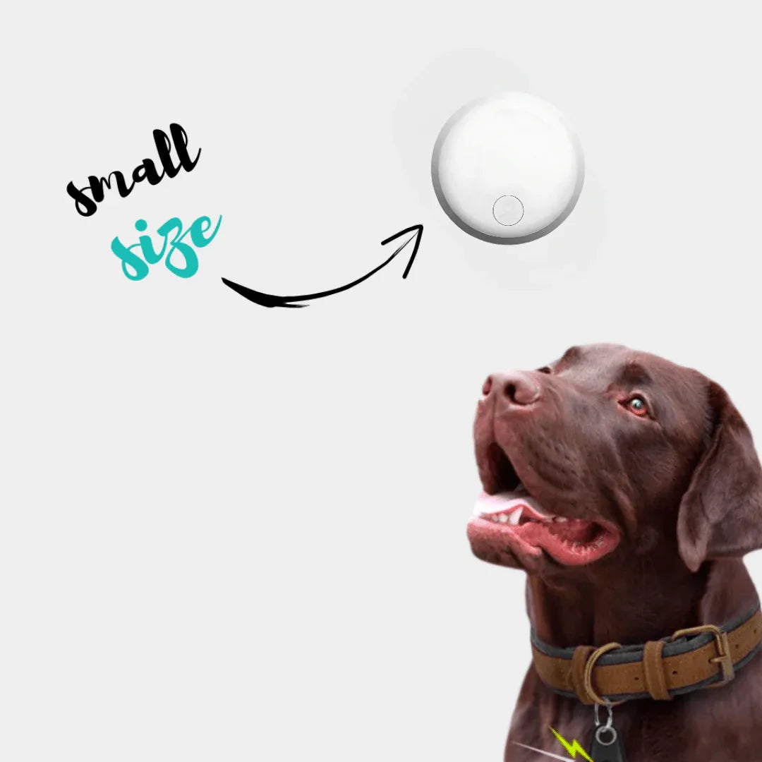 Compact GPS dog tracker with ring attachment