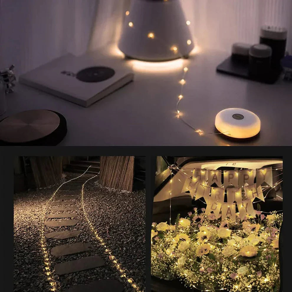 Warm white LED string lights arranged around a garden path and decorative display